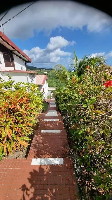 Lauramar Noix De Cajou - Vue Mer Et Montagne Le Carbet Martinique