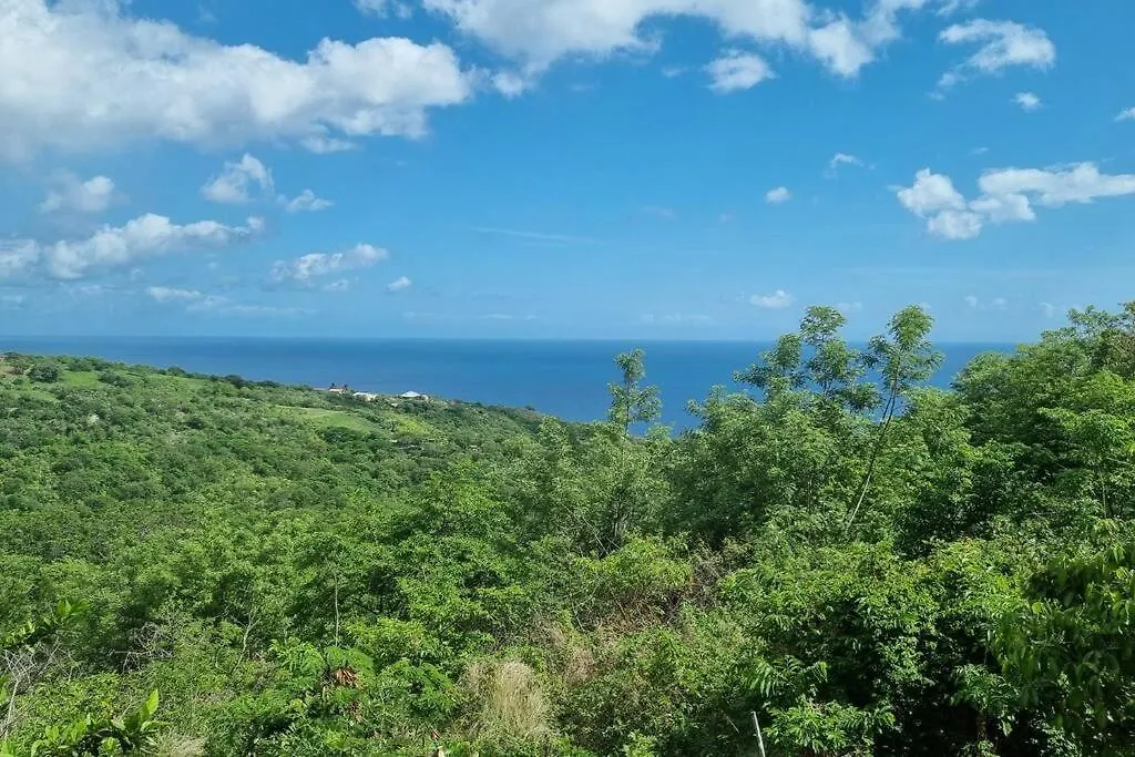 Hébergement de vacances Lauramar Noix De Cajou - Vue Mer Et Montagne Le Carbet Martinique