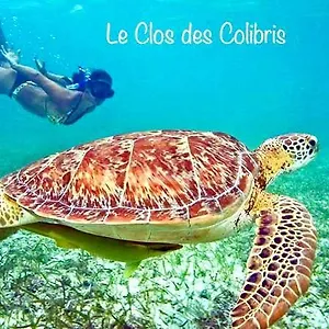  Hébergement de vacances Colibris Vue Panoramique Et Montagne Pelée , 500 M Dans Un Parc , Calme Assuré Idéal Pour Découvrir Le Nord Caraïbes